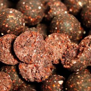 Genesis Carp GENESIS CARP Bloodworm 15mm 5kg + 1kg GRATIS!!