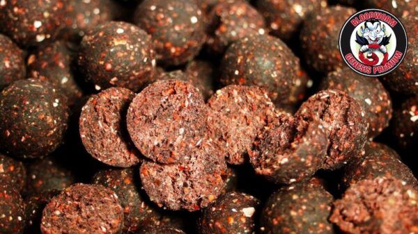 Genesis Carp GENESIS CARP Bloodworm 15mm 5kg + 1kg GRATIS!!