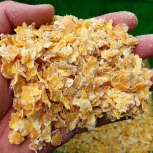 Genesis Carp GENESIS CARP CORN CARP CRUNCH 1KG