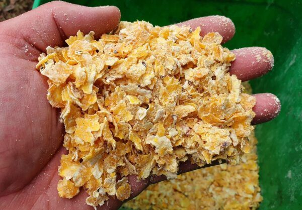 Genesis Carp GENESIS CARP CORN CARP CRUNCH 1KG