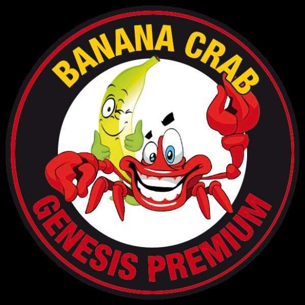 krab-banan-15mm-5kg-1kg-gratis