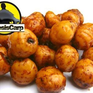 Genesis Carp GENESIS CARP Orzech Tygrysi Tiger Nuts Czaki 1kg