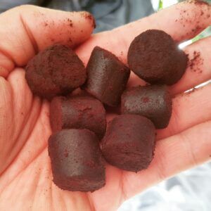 Genesis Carp GENESIS CARP Pellet Blood Halibut SUM/KARP 18mm 1kg