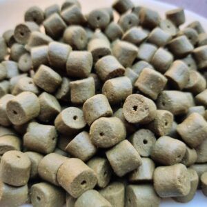 Genesis Carp GENESIS CARP Pellet GLM Muszla 10mm 1kg