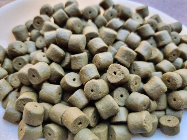 Genesis Carp GENESIS CARP Pellet GLM Muszla 10mm 1kg