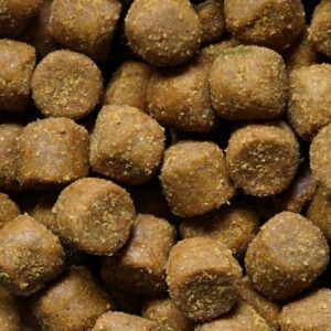 Genesis Carp GENESIS CARP Pellet Orzech Tygrysi 10mm 1kg