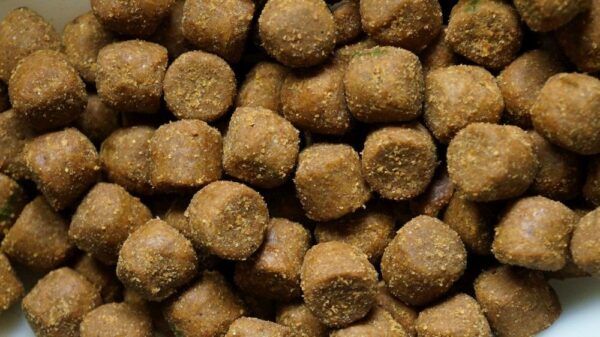 Genesis Carp GENESIS CARP Pellet Orzech Tygrysi 10mm 1kg