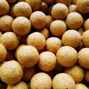 Genesis Carp Genesis Carp Scopex 20mm 1kg