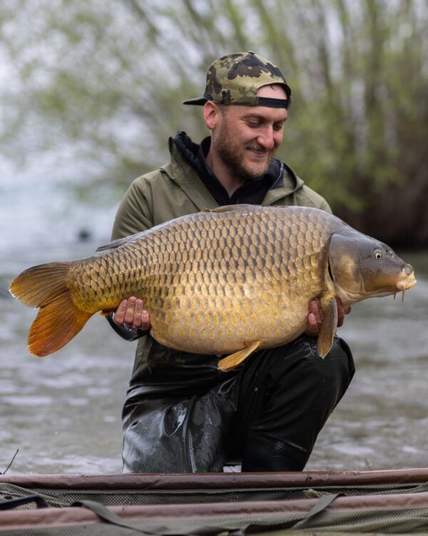 KBC19 KORDA