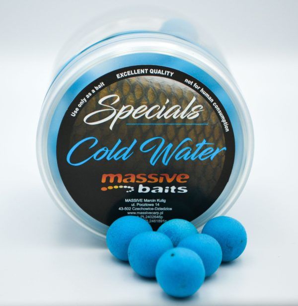 Massive Baits - Cold Water 14mm - Special Pop-Up Najtaniej