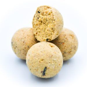 Massive Baits - N-White Coco 14 mm - 1kg Najtaniej