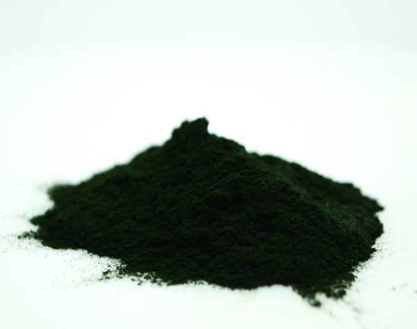 Massive Baits - Pure Spirulina 500g - Komponent Najtaniej